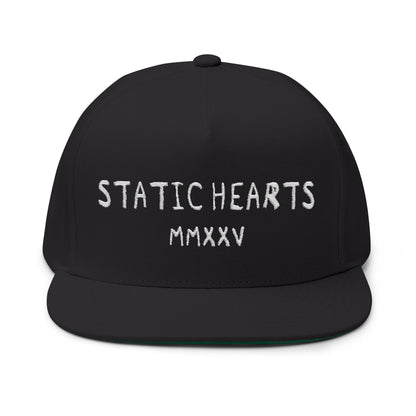 Static Hearts Skater Snapback alternative graphic t-shirt by Static Hearts inspired by pop punk, emo and horror.
